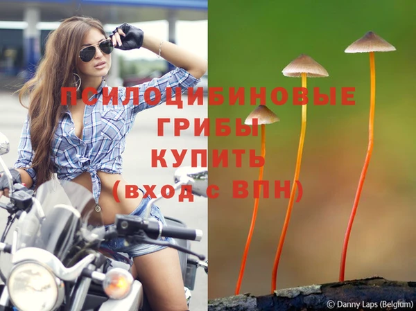 кокс Алексин
